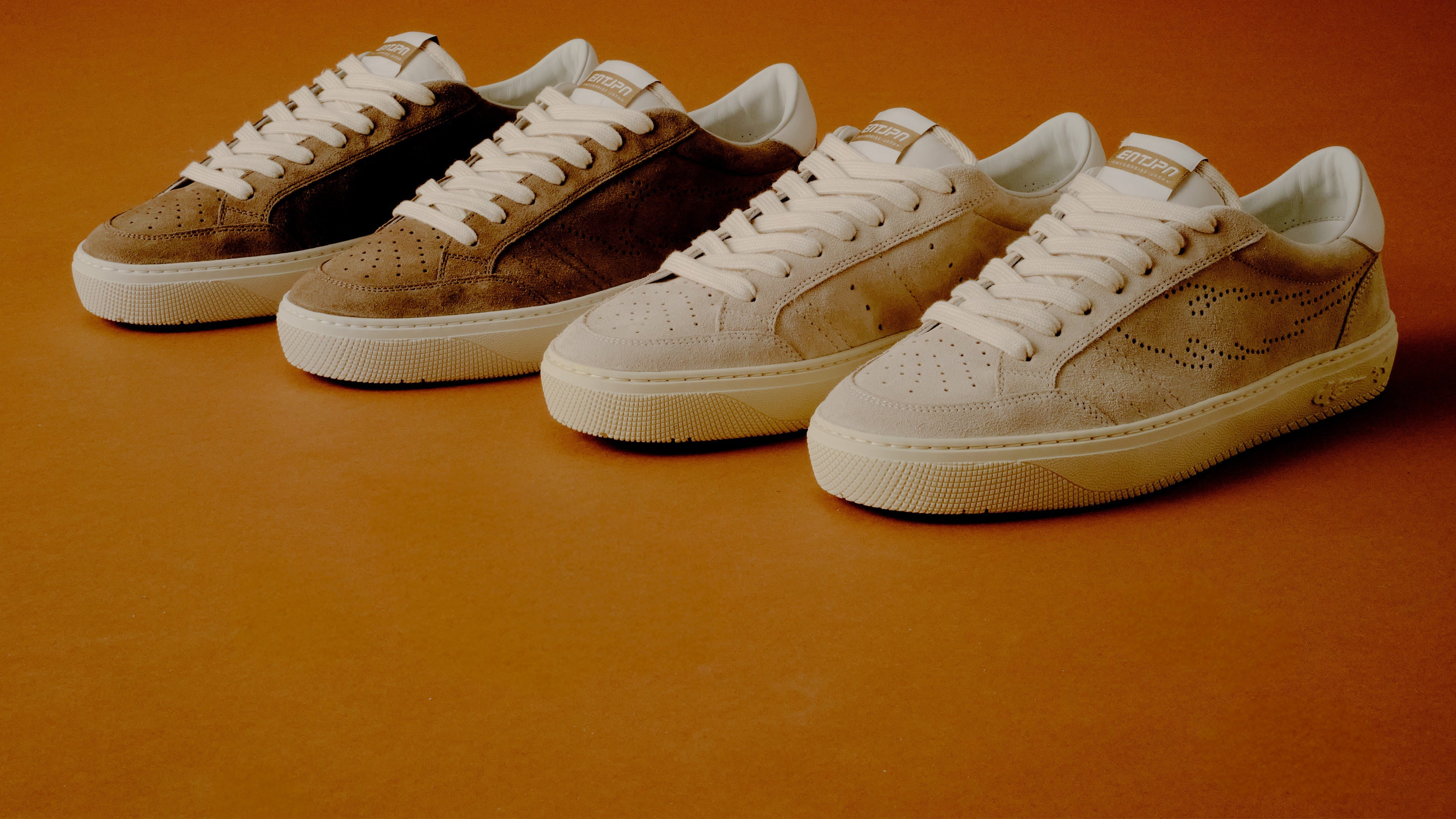 collection banner image