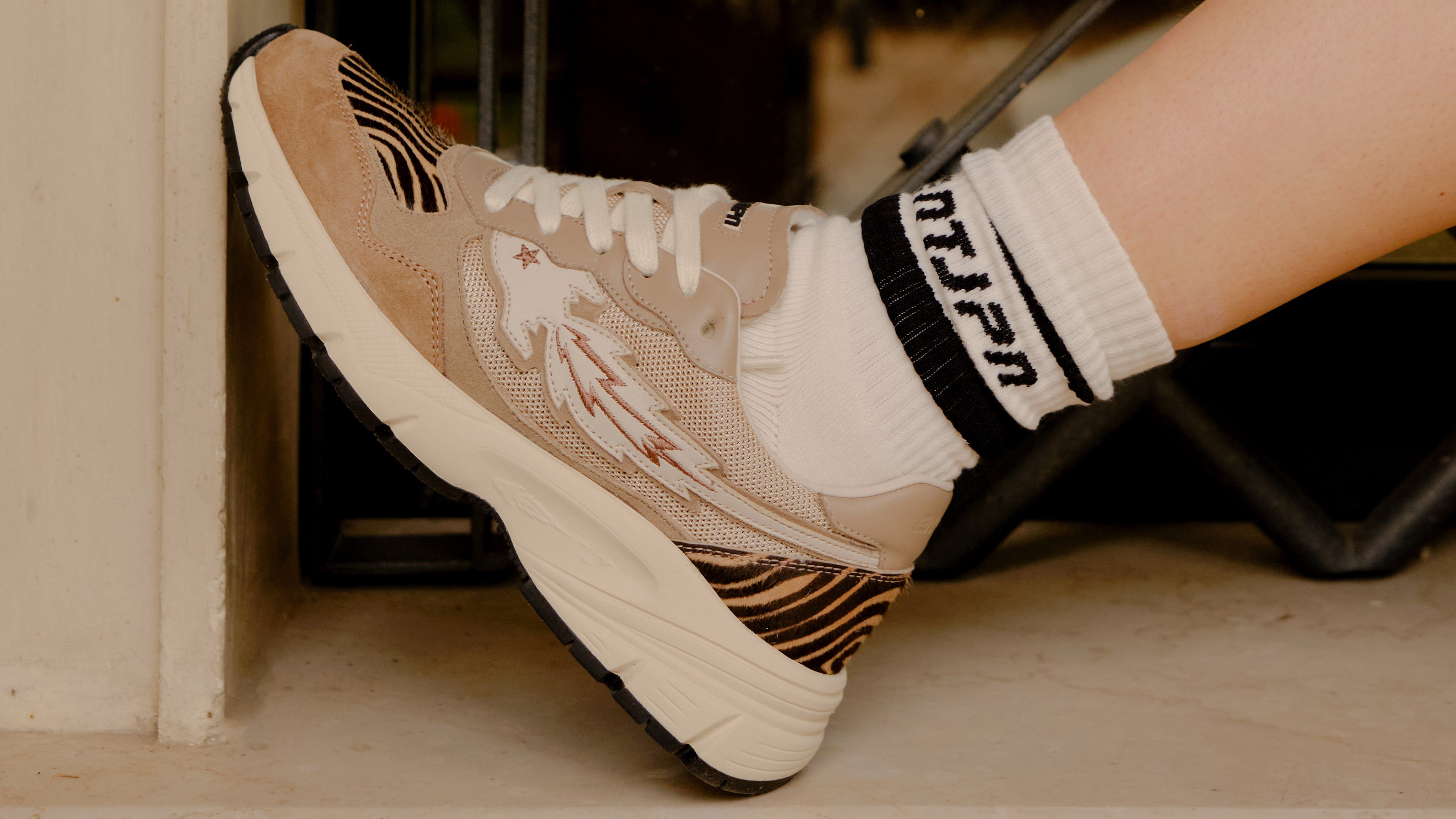 collection banner image