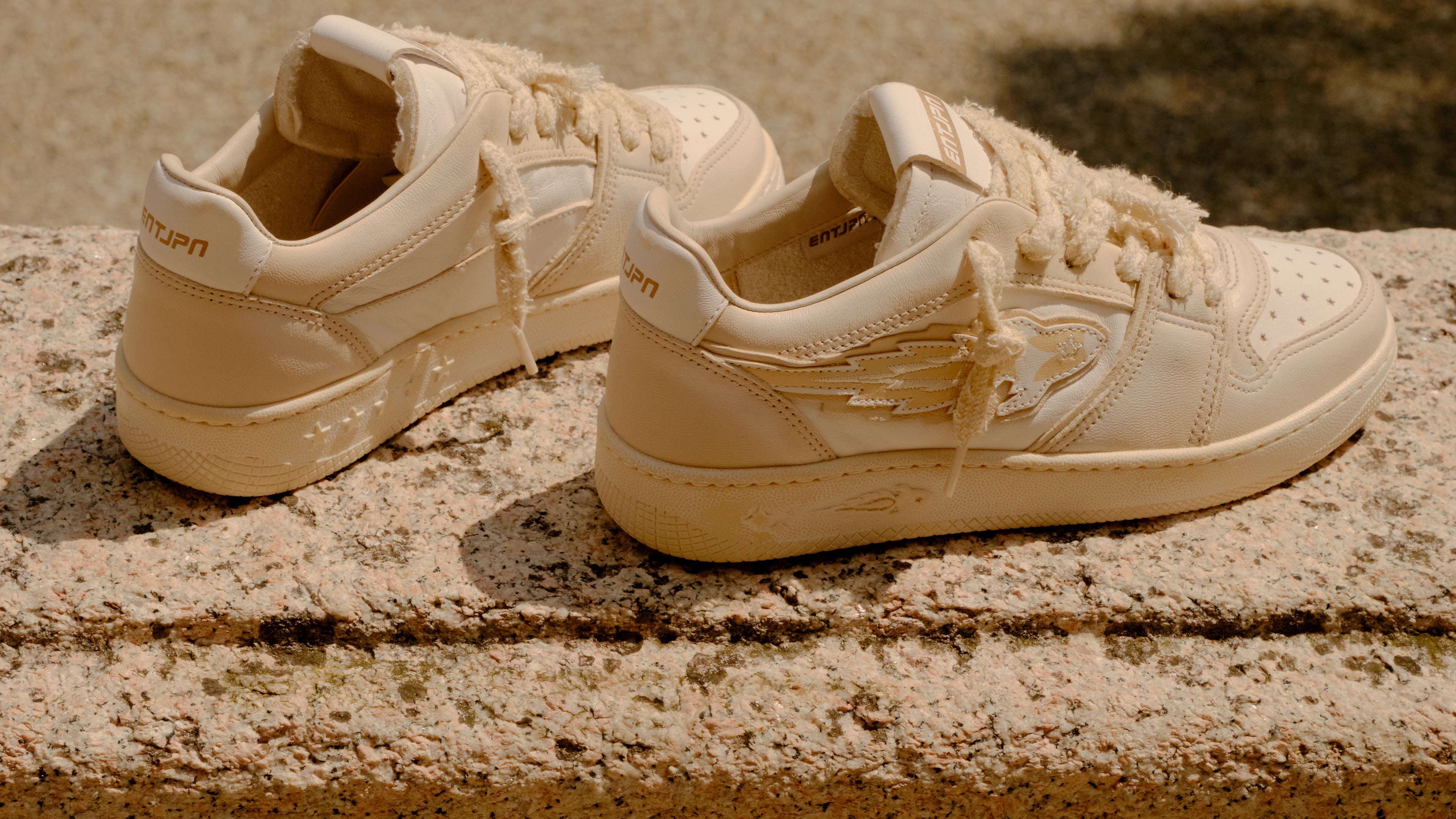 collection banner image