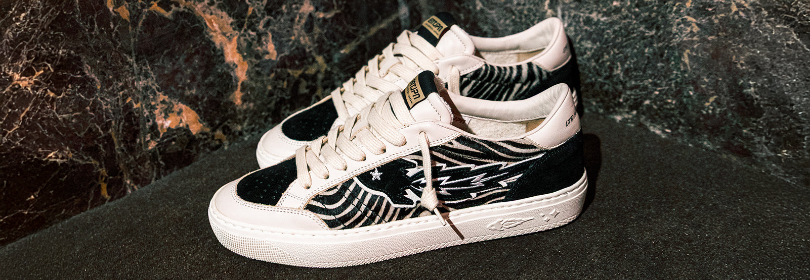 collection banner image