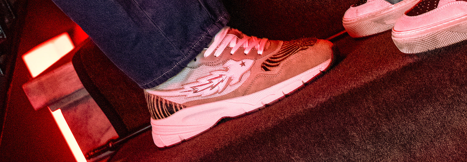 collection banner image