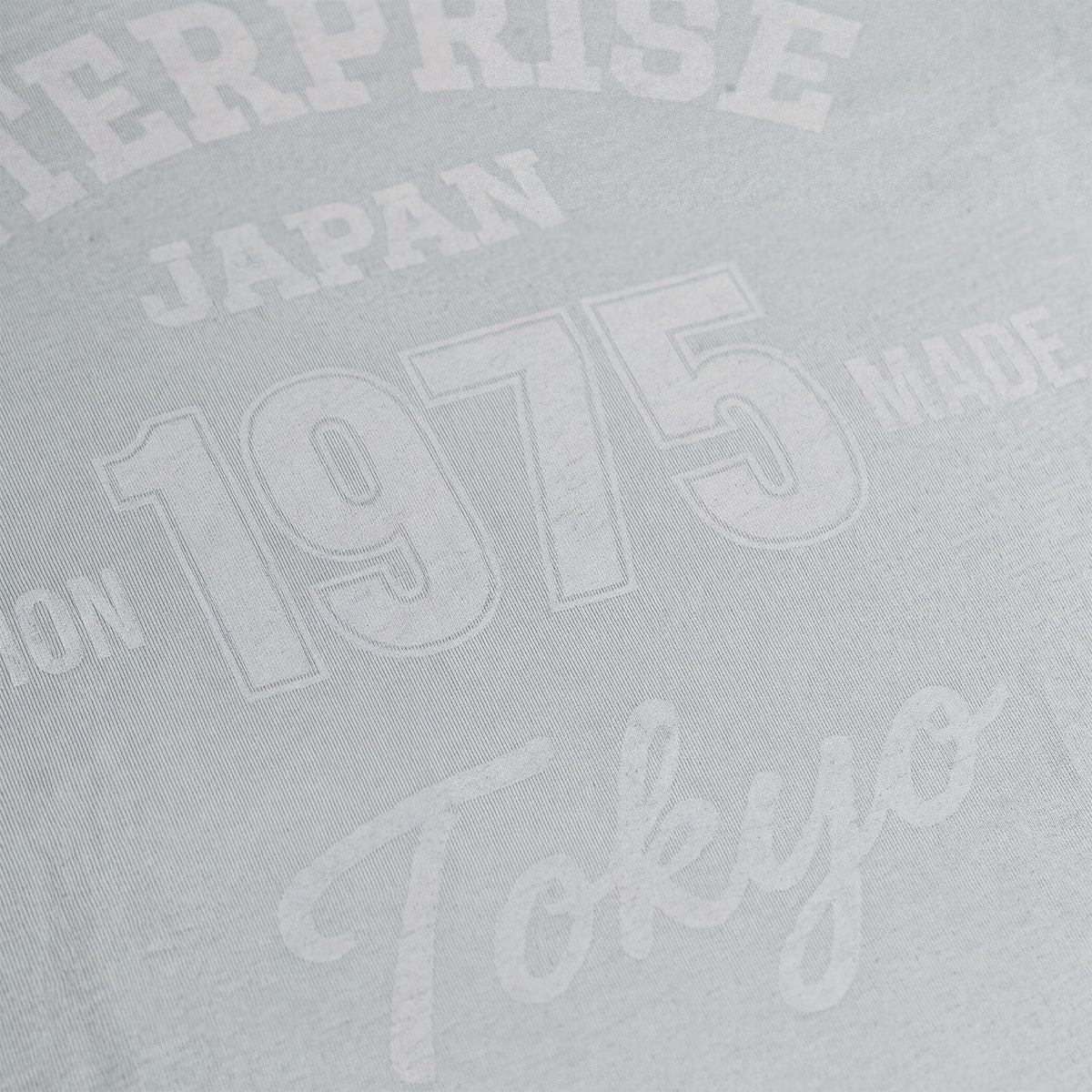 Grey Cotton T-Shirt with 'ENTJPN 1975 Tokyo' Print